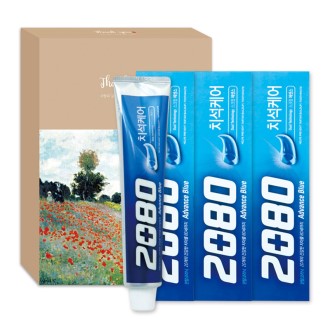 �ְ� 2080 ���꽺 ���� ġ�� 160g 3P