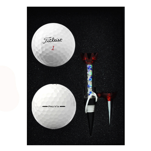 Ÿ��Ʋ����Ʈ PRO V1X 2�� �ڼ�Ƽ ��Ʈ